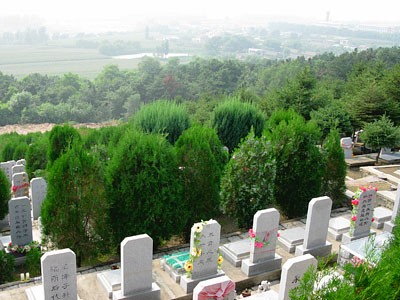 环境展示