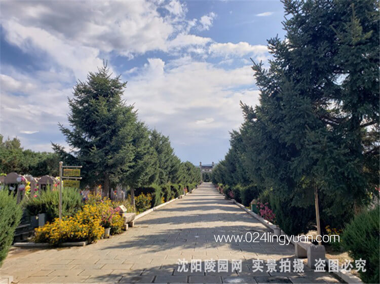环境横.jpg