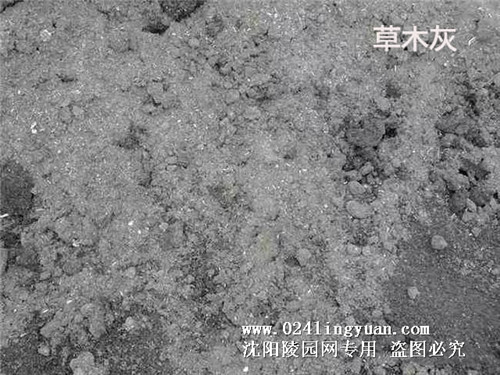 111_副本.jpg