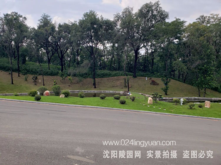 轮播3.jpg