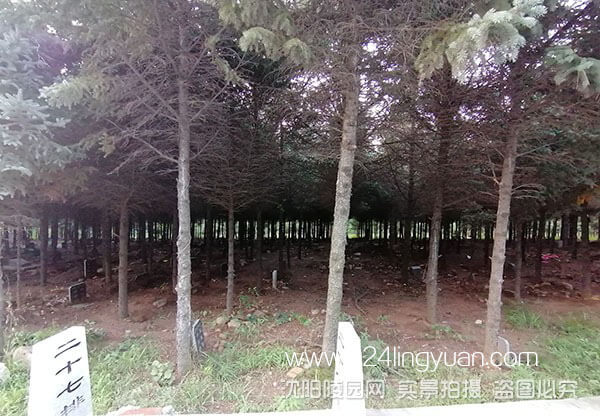 5d52361b8b208.jpg