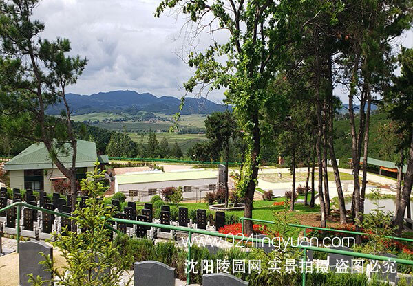 轮播11.jpg