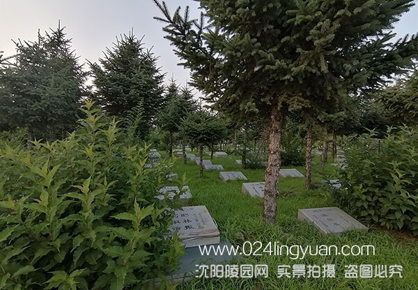 5d52361be848f.jpg