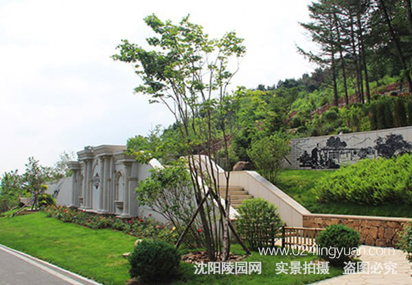5d538b7de1267.jpg