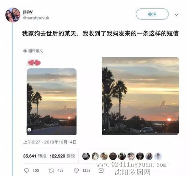 10_副本.jpg