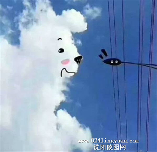 16_副本.jpg