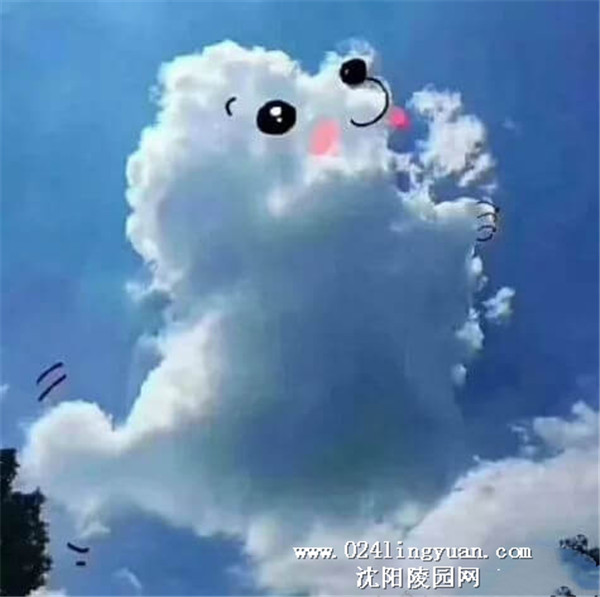 17_副本.jpg