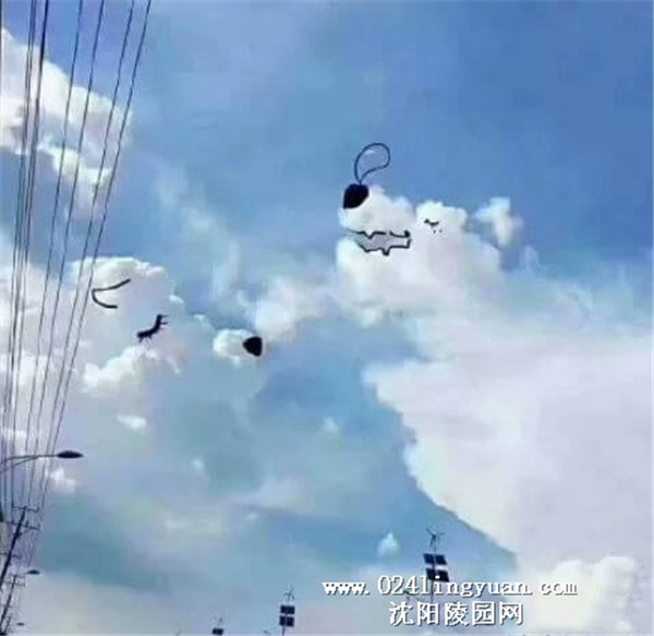18_副本.jpg