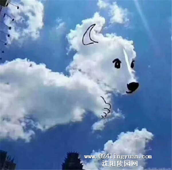 20_副本.jpg