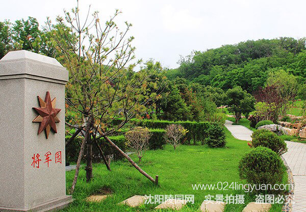 5d538b7f06003.jpg