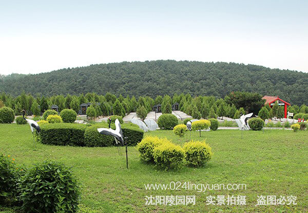 园区11.jpg