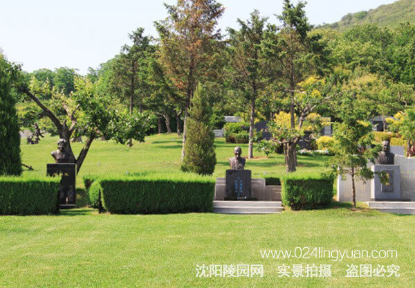 5d538b7eca58f.jpg
