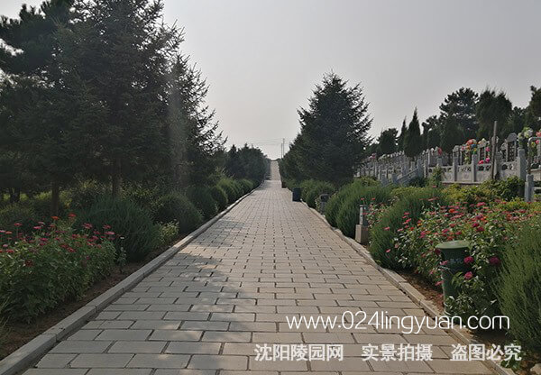 环境横2.jpg