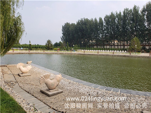 景观2.jpg
