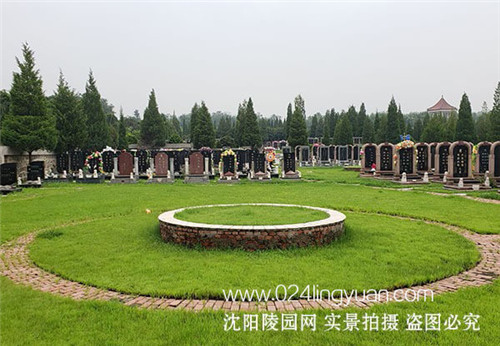 轮播2.jpg