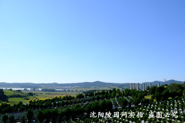 1687426691982476.jpg DSCF4021.jpg