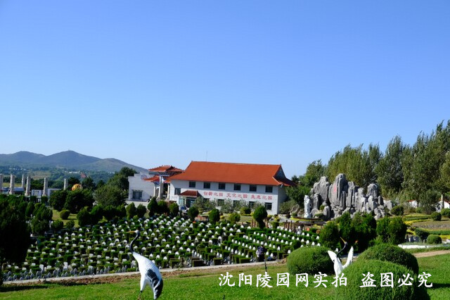 DSCF4031.jpg