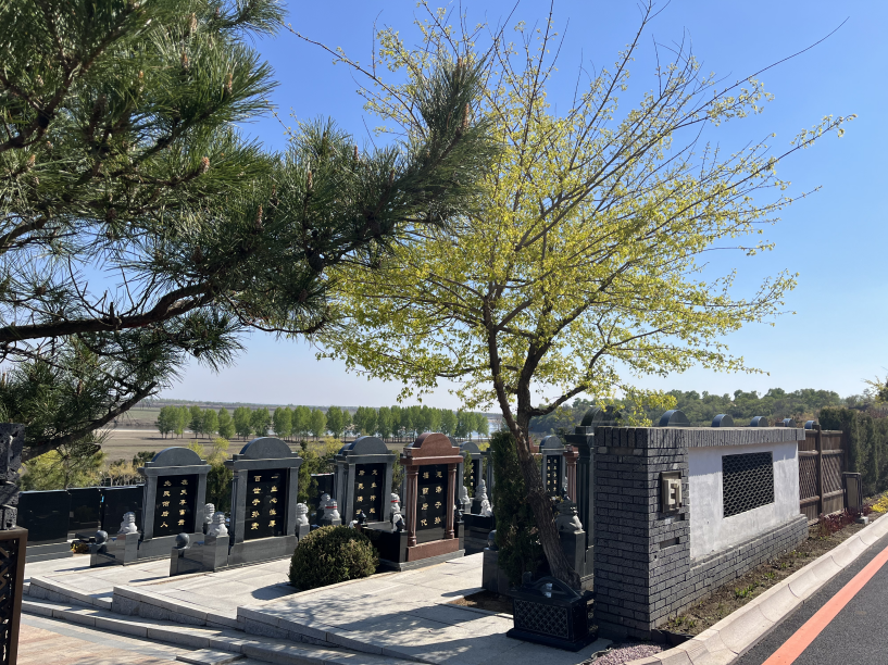 龙生墓园
