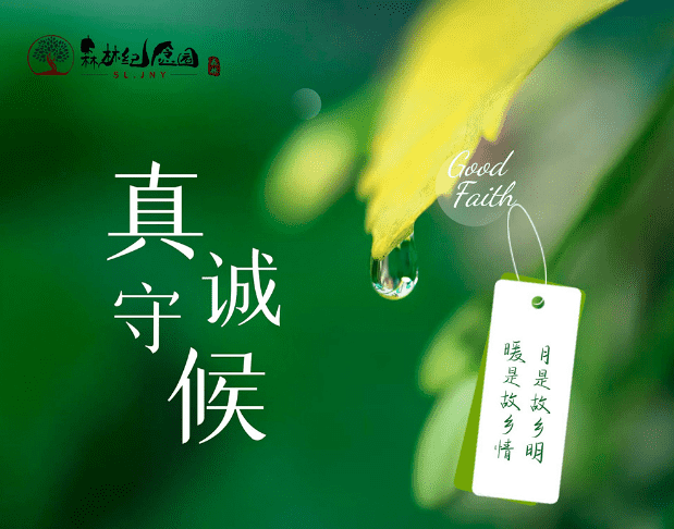 森林纪念园墓园
