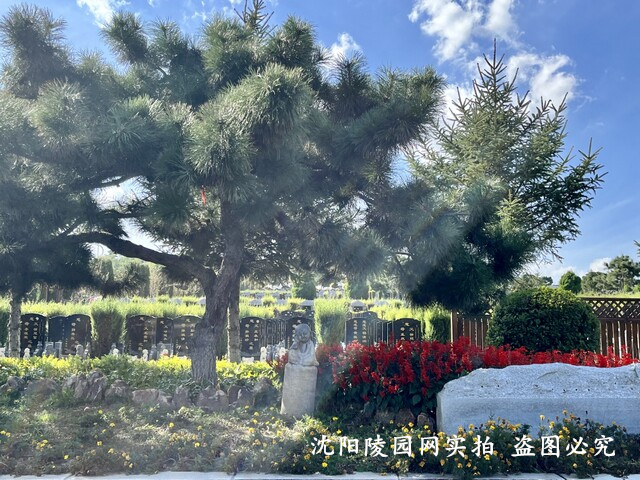 1702805697496389.jpg 微信图片_20220921174445.jpg