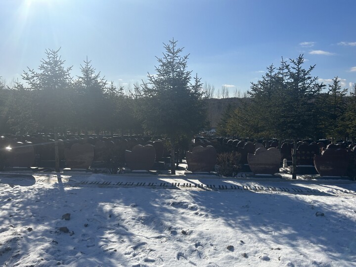 沈阳纪念林墓园