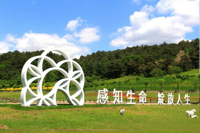 沈阳墓园推荐 沈阳墓园推荐