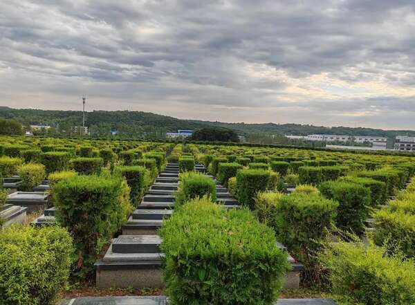 沈阳陵园网-树葬