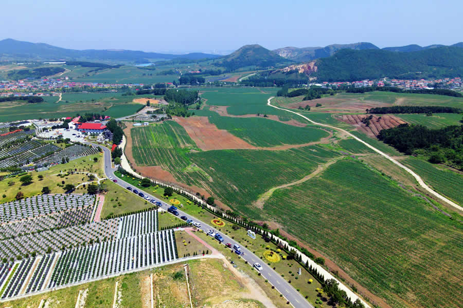 永乐青山墓园 永乐青山墓园