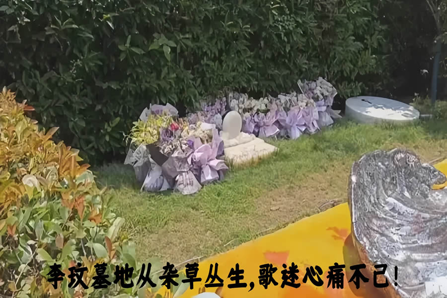 李玟墓地被曝杂草丛生，歌迷痛心不已！