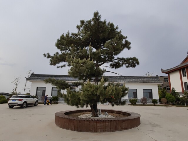 沈阳隆宝山墓园 沈阳隆宝山墓园