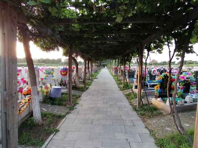 沈阳盛京寝园