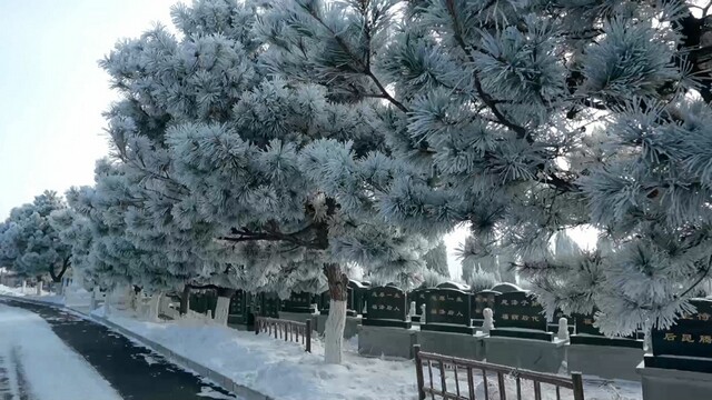 龙生墓园 龙生墓园