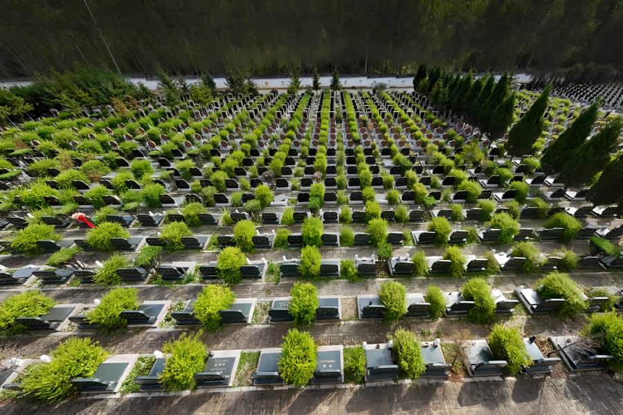 沈阳纪念林树葬 沈阳纪念林树葬