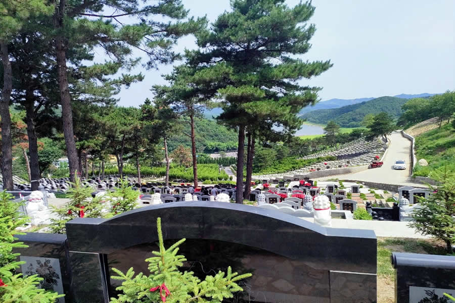 大河贝墓园