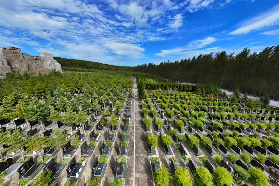 沈阳纪念林 沈阳纪念林