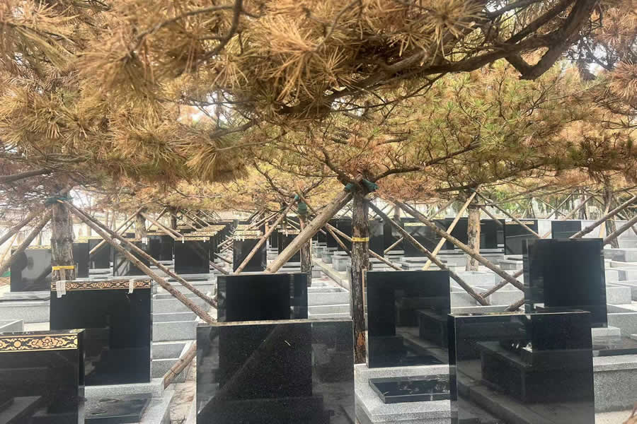 沈阳纪念林墓园