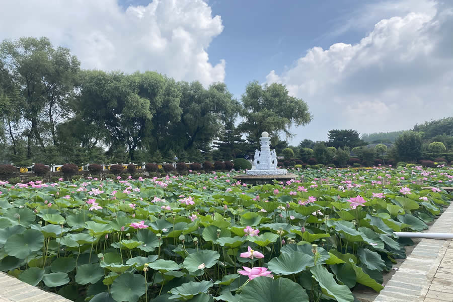 沈阳东山公墓
