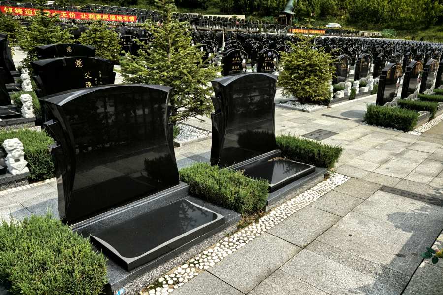 微信图片_20250703171023_副本.jpg
