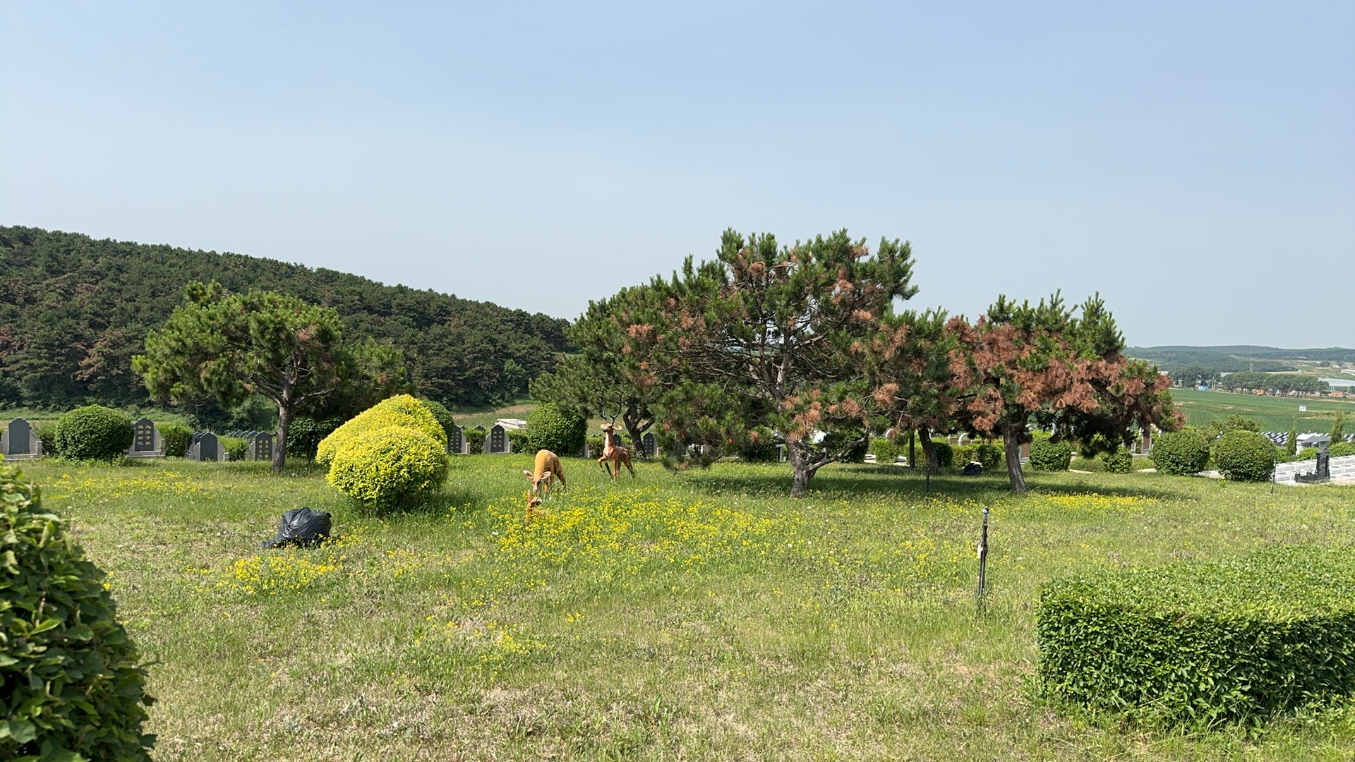 沈阳龙福山墓园