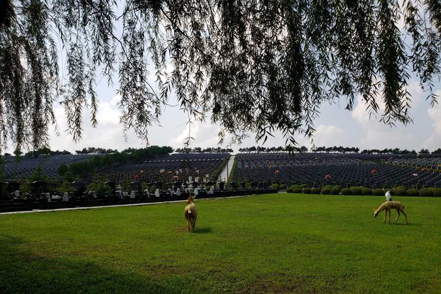 沈阳中华寺墓园 沈阳中华寺墓园