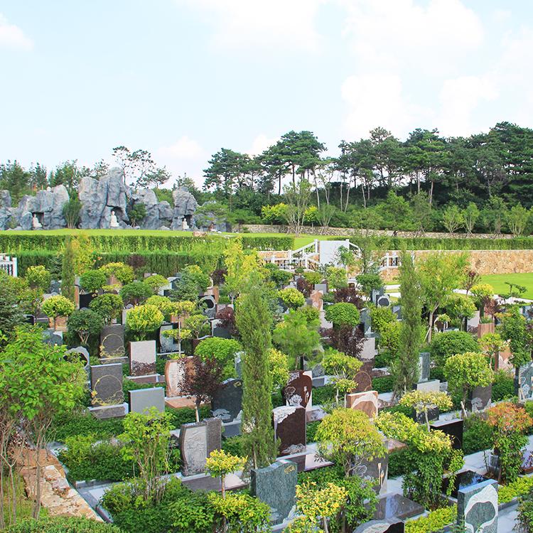 1761529955114206.jpg 513a869933d2253e59abda02f5355bce.jpg