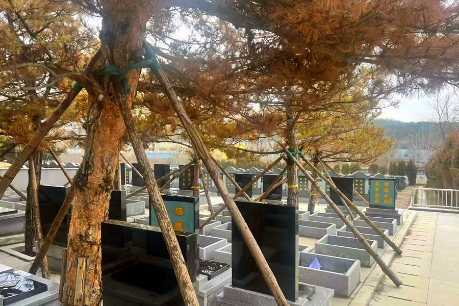 沈阳纪念林墓园