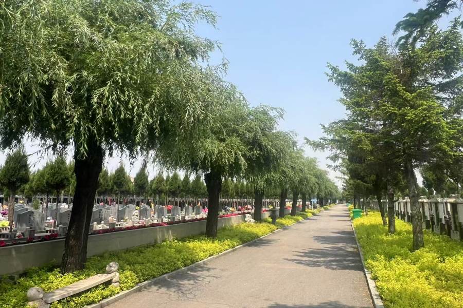 1771815765850076.jpg 微信图片_20250526165644_副本.jpg