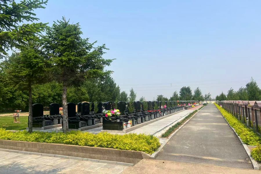 1771815779647064.jpg 微信图片_20250526165720_副本.jpg