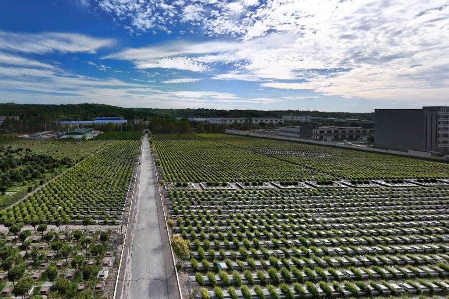 沈阳纪念林墓园