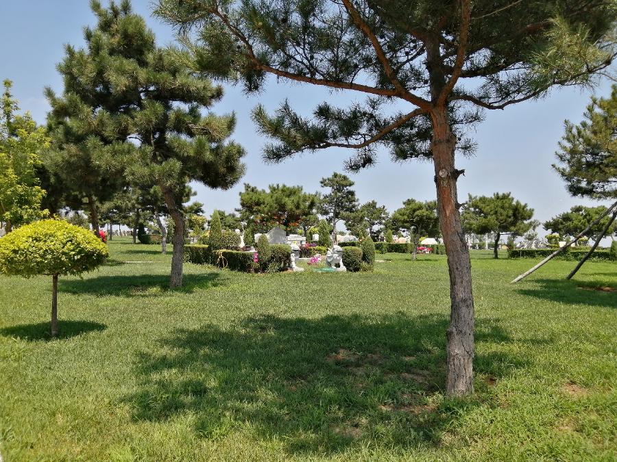 沈阳菩遥山墓园