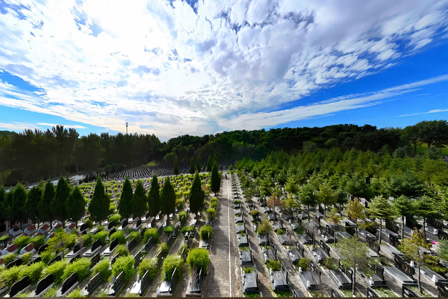 沈阳纪念林墓园 沈阳纪念林墓园