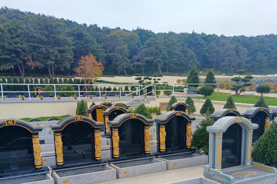 1776042723995197.jpg 148B6CF91F014886D8251B5F90C7BFFD_副本.jpg