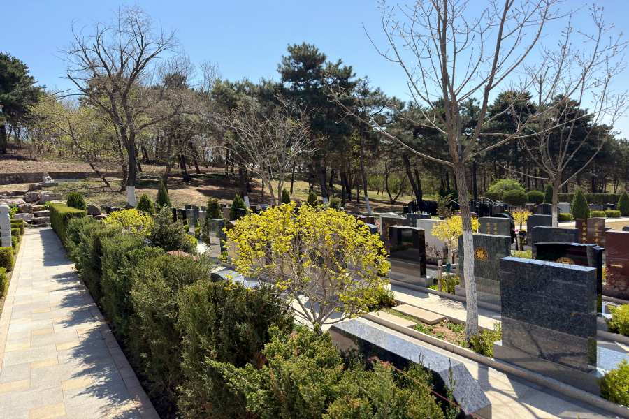 沈阳观陵山墓园 沈阳观陵山墓园