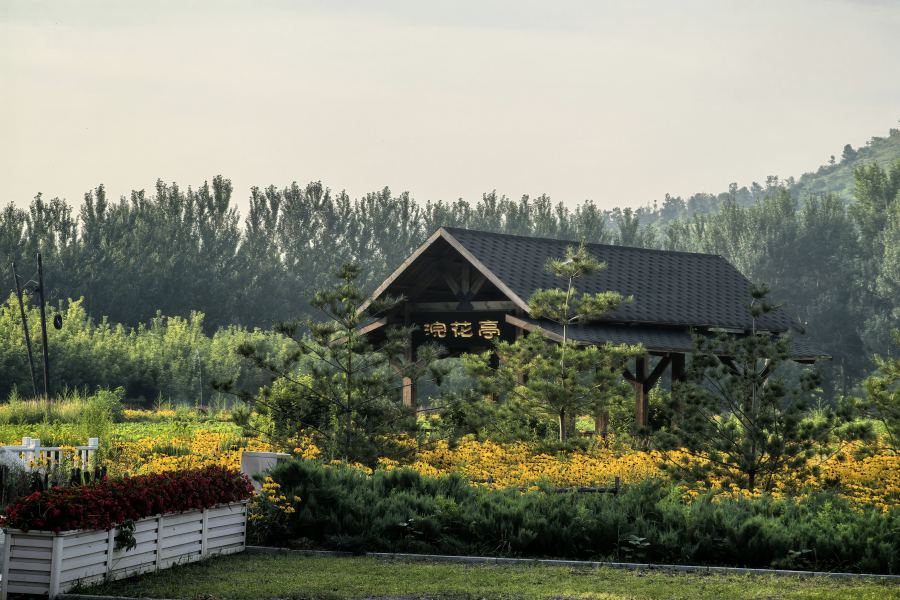 沈阳龙福山墓园 沈阳龙福山墓园